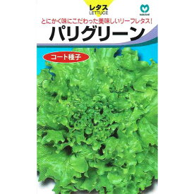 丸種　レタス　パリグリーン コート種子　40粒 【郵送対応】