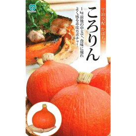 楽天市場 かぼちゃ 苗 花 ガーデン Diy の通販