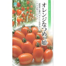 楽天市場 ミニトマト オレンジ色の通販