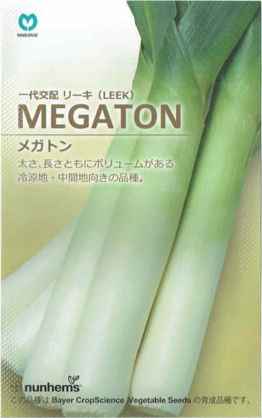 丸種　リーキ　MEGATON（メガトン）　約70粒【郵送対応】 | 日光種苗