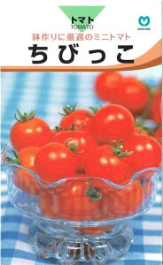 �ێ�@�~�j�g�}�g�@���т����@1ml�y�X���Ή��z