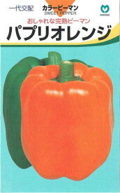 丸種　カラーピーマン　パプリオレンジ　約8粒【郵送対応】