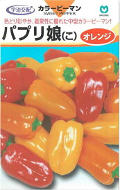 丸種　カラーピーマン　パプリ娘オレンジ　約5粒【郵送対応】