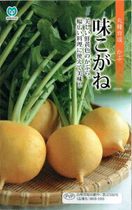 ێ@Ju@ˁ@1.8mlyXΉzyio^o蒆z