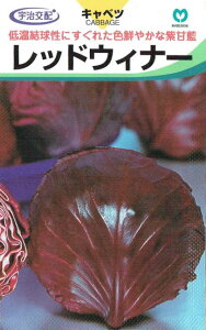 �ێ�@���L���x�c�@���b�h�E�B�i�[�@0.7ml�y�X���Ή��z