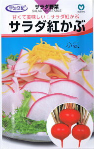宇治交配 かぶ サラダ紅かぶ 1.4ml 【郵送対応】