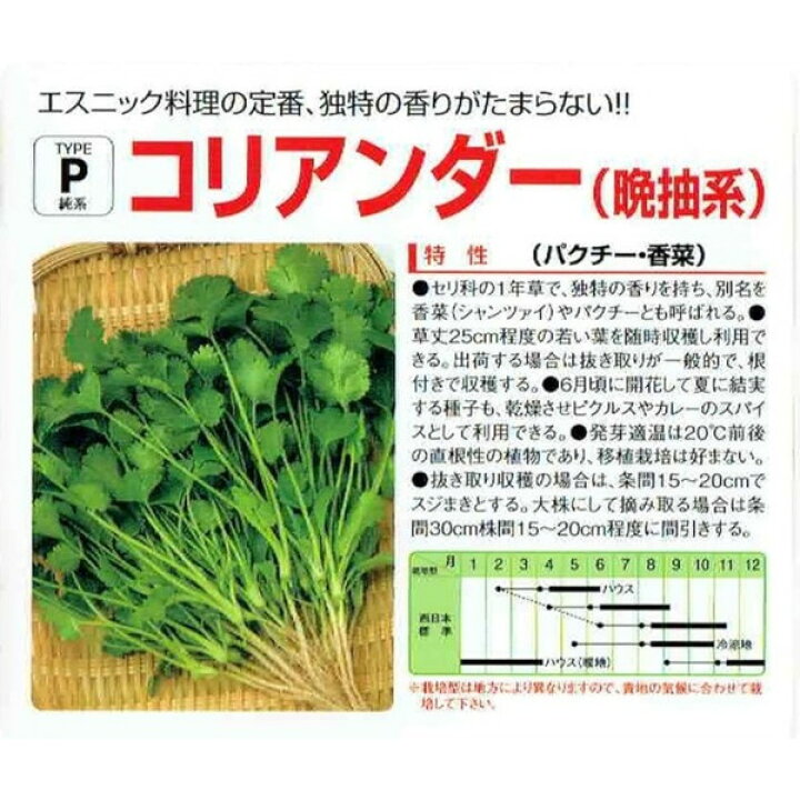 楽天市場 中原採種場 晩抽系コリアンダー パクチー ml 郵送対応 日光種苗