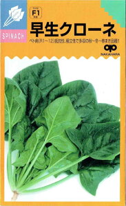 ̎@zE\E N[l 25mlyXΉz