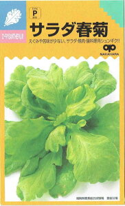 中原採種場 サラダ春菊 25ml【郵送対応】