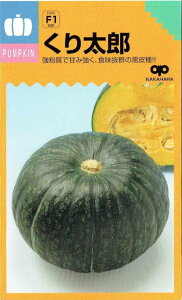 �����̎��@�J�{�`���@���葾�Y�@��13���y�X���Ή��z