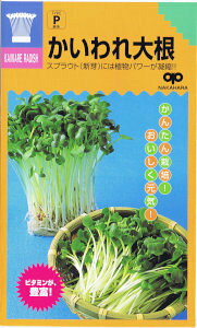 ̎@񂽂XvEg 卪 30ml yXΉz