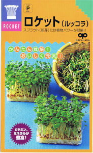 ̎@񂽂XvEg PbgibRj 30ml yXΉz