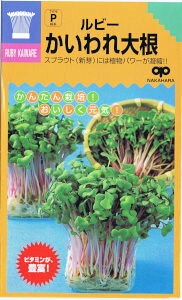 ̎@񂽂XvEg r[ 卪 30ml yXΉz