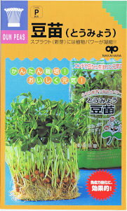 ̎@񂽂XvEg ciƂ݂傤j 30ml yXΉz