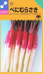 中原採種場 かぶ べにむらさき 3ml 【郵送対応】