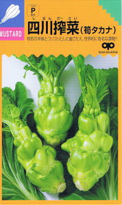 ̎@l؁i⡃^Jij[eʁF200]