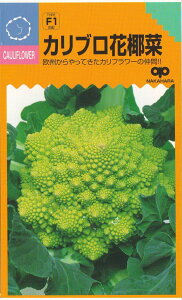 中原採種場 カリブロ花椰菜(はなやさい) 0.7ml 【郵送対応】
