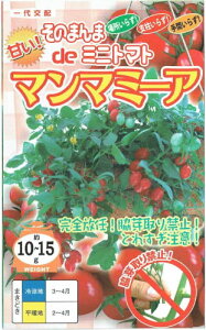 igc@~jg}g@}}~[A@15 yXΉz