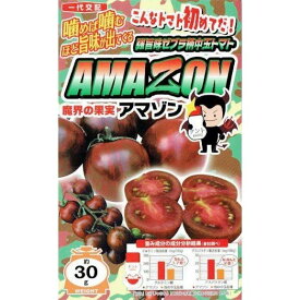 ナント種苗　ゼブラ柄中玉トマト　AMAZON（アマゾン）　約7粒【郵送対応】