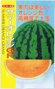 igc@XCJ@T}[IWOh 7 yXΉz