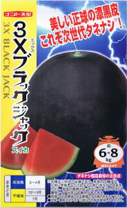 igc@XCJ@3XubNWbN 8 yXΉz