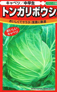 mEz Lxc gK{EV@ybgq 100@yXΉz