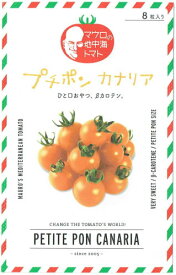 マウロの地中海トマト プチポンカナリア 約8粒【郵送対応】