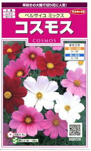 TJ^̃^l RXX xTC~bNX yXΉz