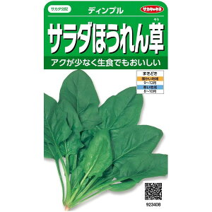 TJ^̃^l@T_ق񑐁@fBv 25mlyXΉz