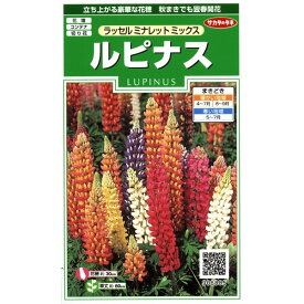 楽天市場 ルピナス 種の通販