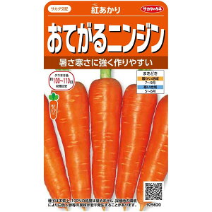 TJ^̃^l@ĂjW@g@3mlyXΉz