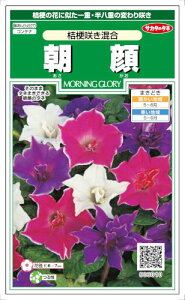 TJ^̃^l@@j[炫@1mlyXΉz