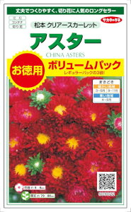 TJ^̃^l@AX^[@{NA[XJ[bg@p3mlyXΉz