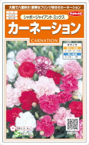 TJ^̃^l@J[l[V@V{[WCAg~bNX@0.3mlyXΉz