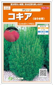 楽天市場 コキア 苗の通販 楽天市場 コキア 苗の通販