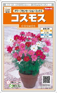 TJ^̃^l@RXX@h[tZZ[V~bNX@2mlyXΉz