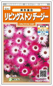 TJ^̃^l@rOXgf[W[F@0.2mlyXΉz