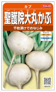 サカタのタネ 聖護院大丸かぶ 8ml【郵送対応】