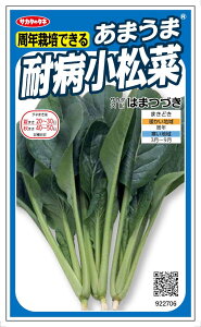 TJ^̃^l@N͔|ł邠܂ܑϕa ͂܂Â@10mlyXΉz