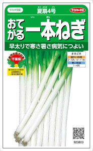 サカタのタネ ネギ おてがる一本ねぎ 夏扇4号 3ml【郵送対応】