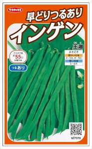 TJ^̃^l@ǂ葽n邠CQ ΁@26mlyXΉz