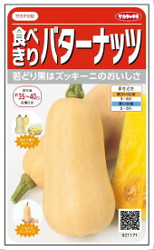 サカタのタネ　カボチャ　食べきりバターナッツ まろあじ 約6粒【郵送対応】