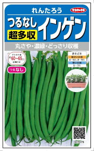 TJ^̃^l@ȂCQ@񂽂낤@20mlyXΉz