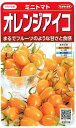 サカタのタネ　ミニトマト　オレンジアイコ　約13粒【郵送対応】