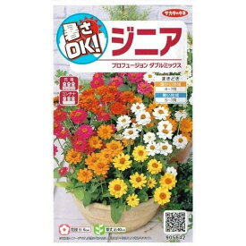 楽天市場 ジニア プロフュージョン 花 ガーデン Diy の通販