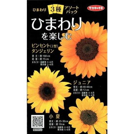 サカタのタネ　ひまわり3種アソートパック ひまわりを楽しむ【郵送対応】