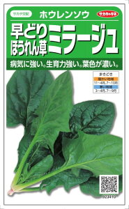 TJ^̃^l@zE\E@ǂق񂻂@~[W@25mlyXΉz