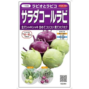 TJ^̃^l T_R[r rIƃrR 80yXΉz