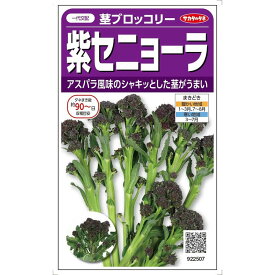 サカタのタネ 茎ブロッコリー 紫セニョーラ 約20粒【郵送対応】