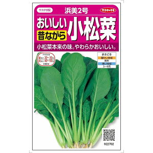 TJ^̃^l R}ci ̂Ȃ̏ l2 10mlyXΉz